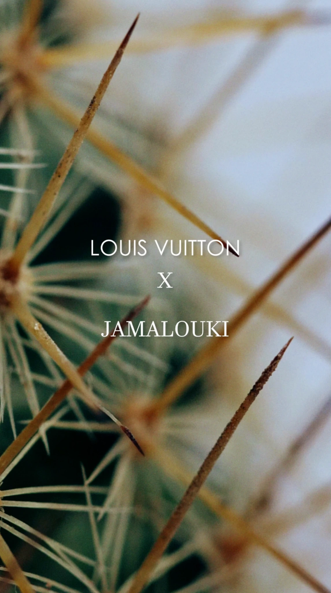 Louis Vuitton x Jamalouki Instagram Reel cover